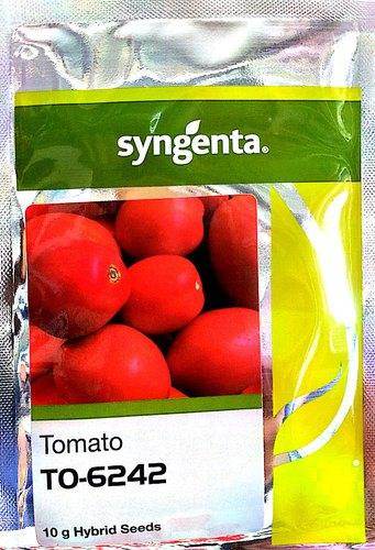 Hybrid Tomato Seed